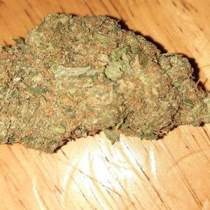 Meet your Posher, Rob